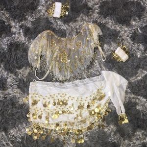 Belly dancer outfit